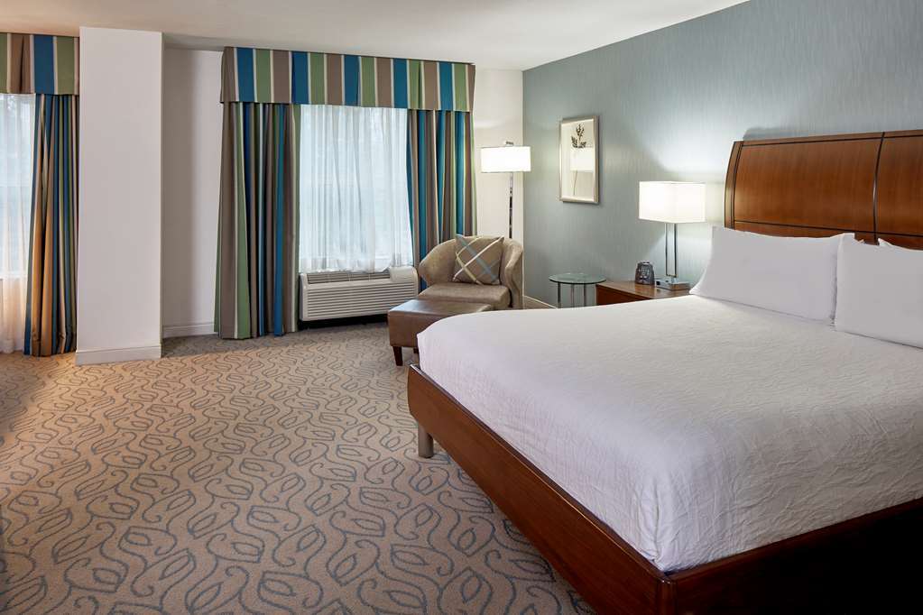 Hilton Garden Inn Atlanta Midtown Zimmer foto