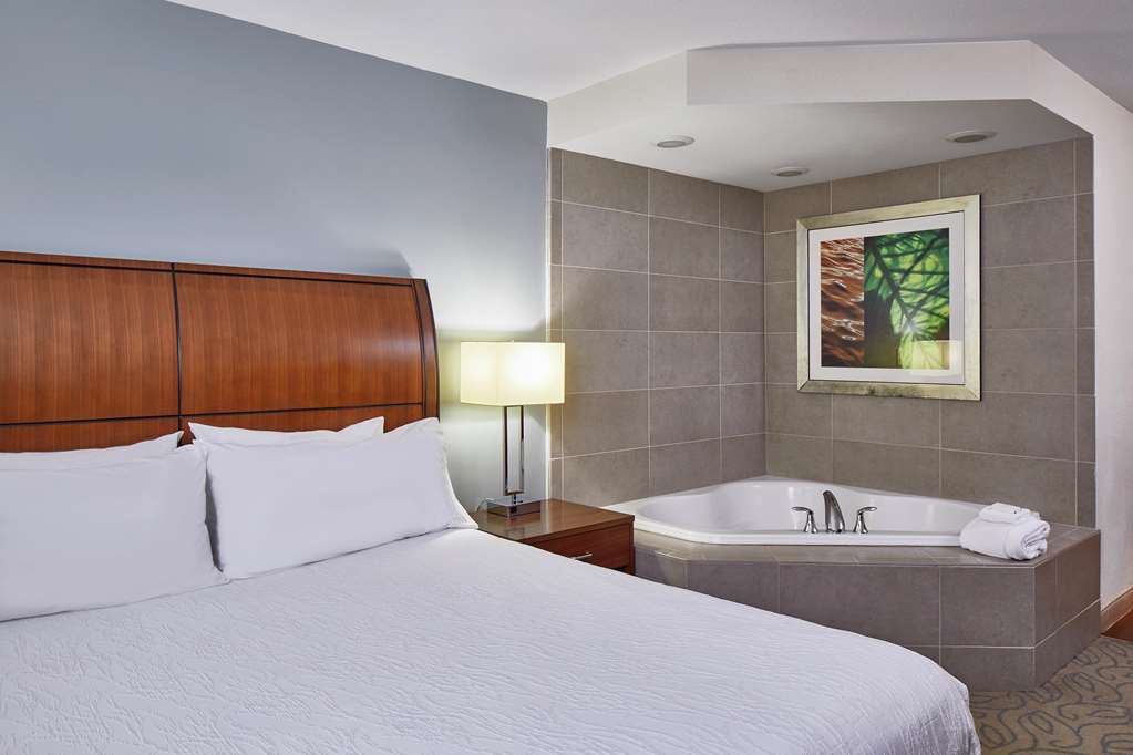 Hilton Garden Inn Atlanta Midtown Zimmer foto